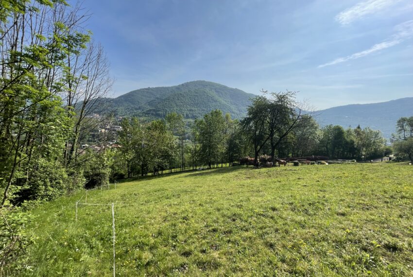 vendesi terreno agricolo bergamo albino