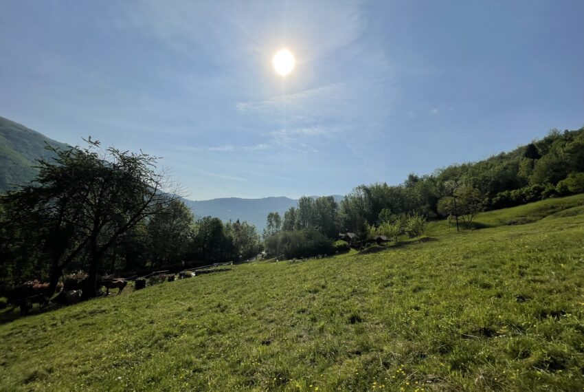 terreno agricolo bergamo