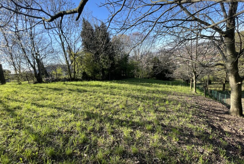 terreno agricolo ad alzano